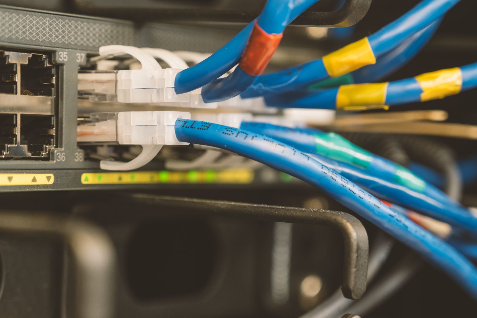 Ethernet cables plugged into a network switch