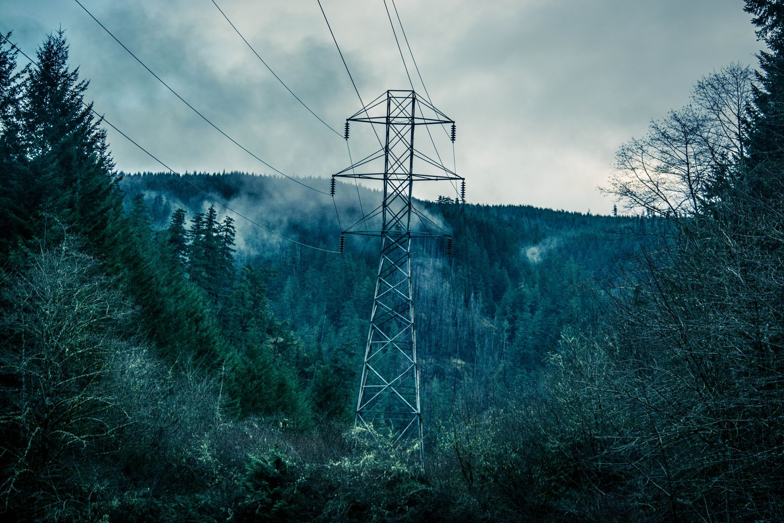 A high-voltage transmission tower on a misty forested hillside under grey cloud