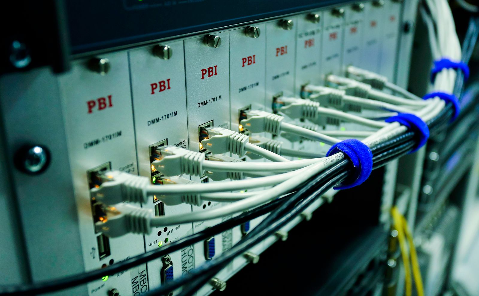 Ethernet cables plugged into a network switch